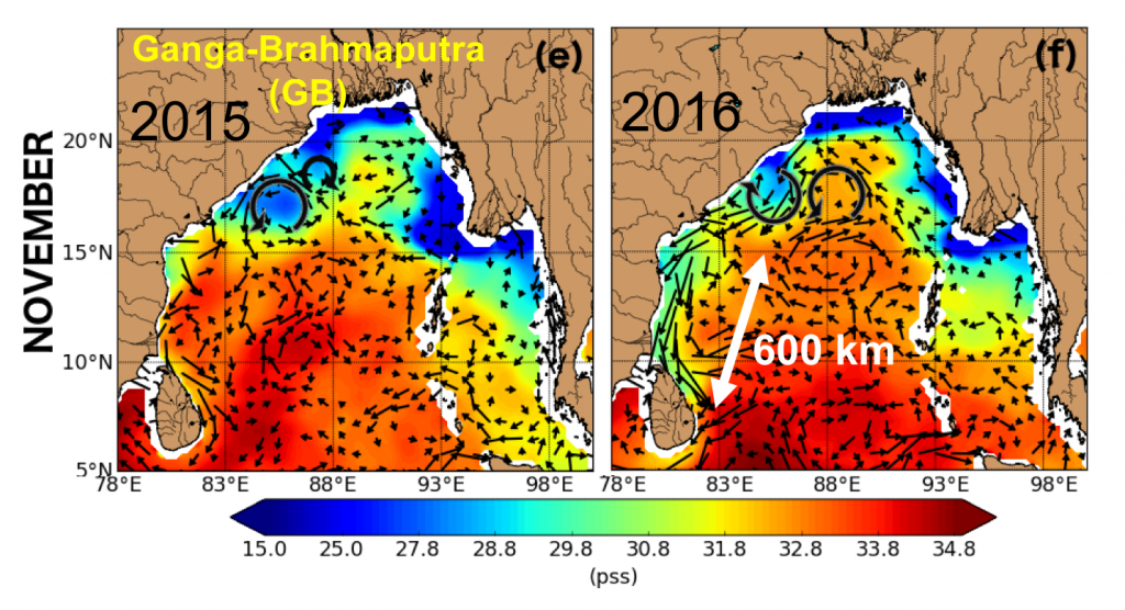 Figure 1: Geostrophic currents computed from sea level anomalies overlaid on sea surface salinity in November 2015 and 2016. The southward East Indian Coastal Current is stronger in 2016, carrying the River plume further south than in 2015.