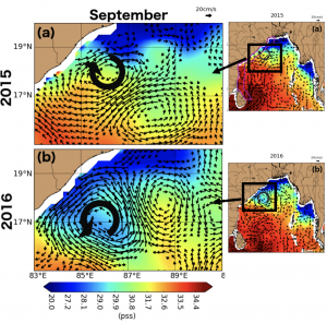 Figure 2: Geostrophic currents computed from sea level anomalies overlaid on sea surface salinity in September 2015 and 2016. A cyclonic eddy around 18°N carries the freshwater plume further south along the coast in September 2016 than in September 2015, when an anticyclonic eddy prevents the transport.