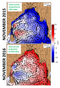 Figure 3: Sea Level Anomalies (SLA) and geostrophic currents anomalies associated with the IOD in November 2015 and 2016. The positive (negative) Indian Ocean Dipole in the fall of 2015 (2016) caused a negative (positive) SLA along the rim of the Bay and strong northward (southward) East Indian Coastal Current anomalies causing an anomalously weak (strong) southward EICC and freshwater transport.